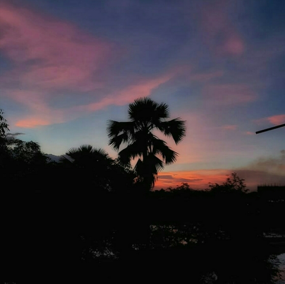 Meet your Posher, Desert Dream Dress - Picture 5 of 6